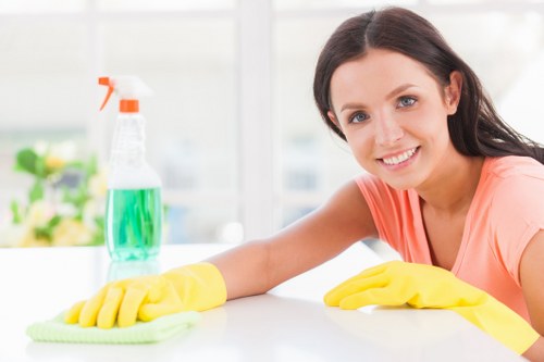Professional window cleaning for homes in Belsizepark