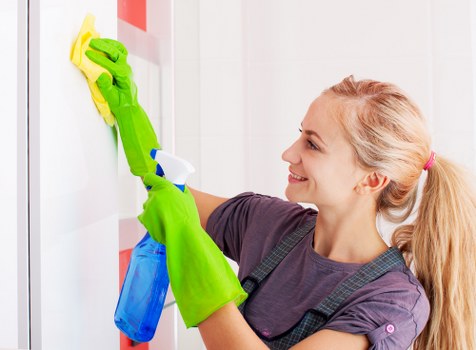 Steam carpet cleaning service for a Belsizepark home interior