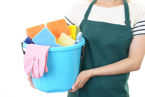 Professional upholstery cleaning service in a Belsizepark living room