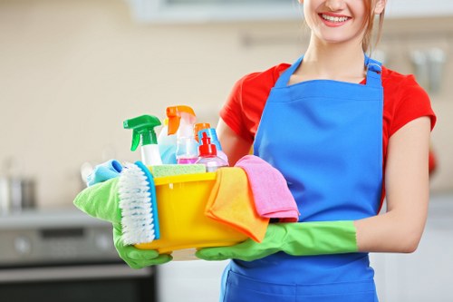 Local stain removal service for homes and businesses near Belsizepark