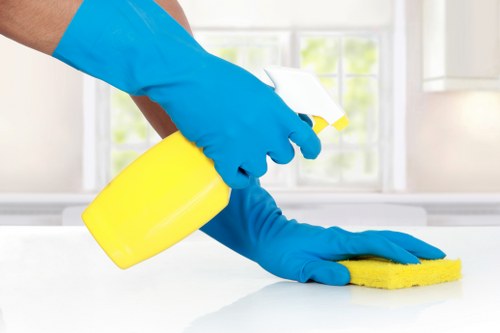 Upholstery cleaning equipment prepared for a sofa cleaning appointment in Belsizepark
