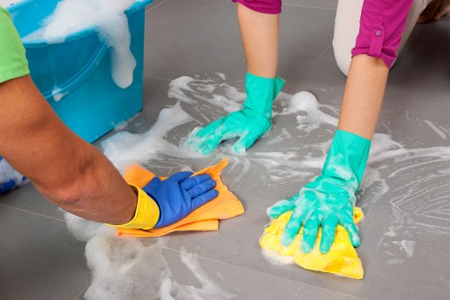 Professional carpet cleaning in a Belsize Park home interior