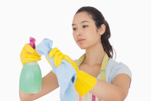 Local regular cleaning for apartments and period properties in Belsizepark