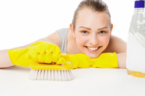 Carpet steam cleaning for a Belsizepark residence or office