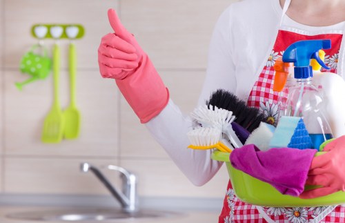 Professional cleaner carrying out a detailed deep clean in Belsize Park