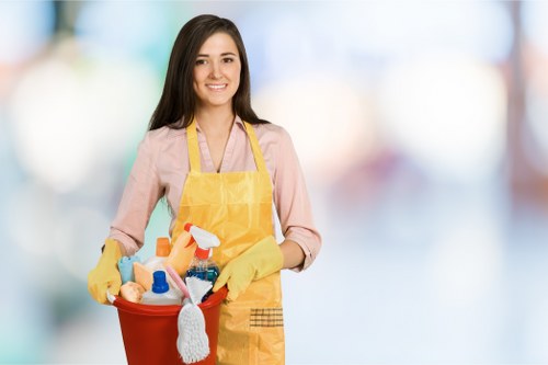 Deep carpet cleaning service in a Belsizepark apartment