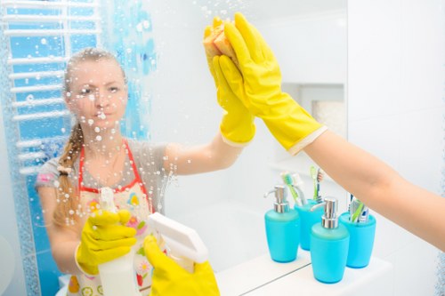 Bathroom sanitising during a move-in clean