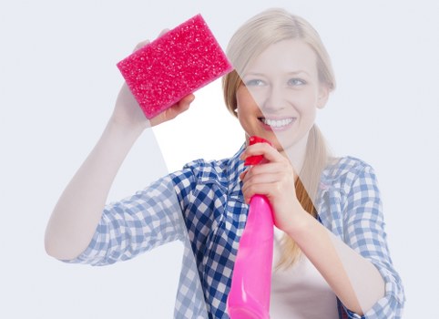 Careful window cleaning for upper-floor properties in Belsizepark