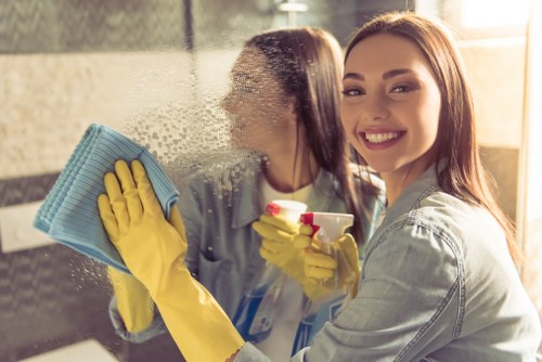 Professional domestic cleaning for homes around Belsize Park