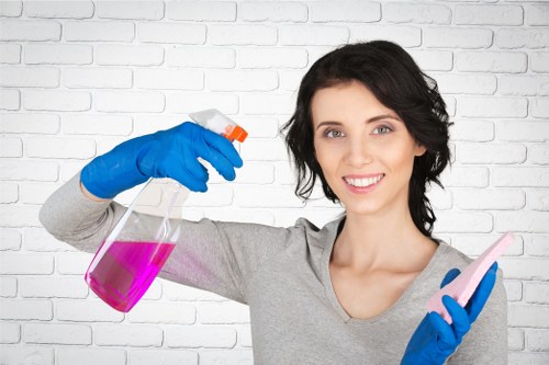 Regular home cleaning for a family property in Belsizepark