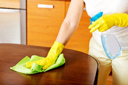 Technician preparing to assess carpet cleaning requirements before work begins